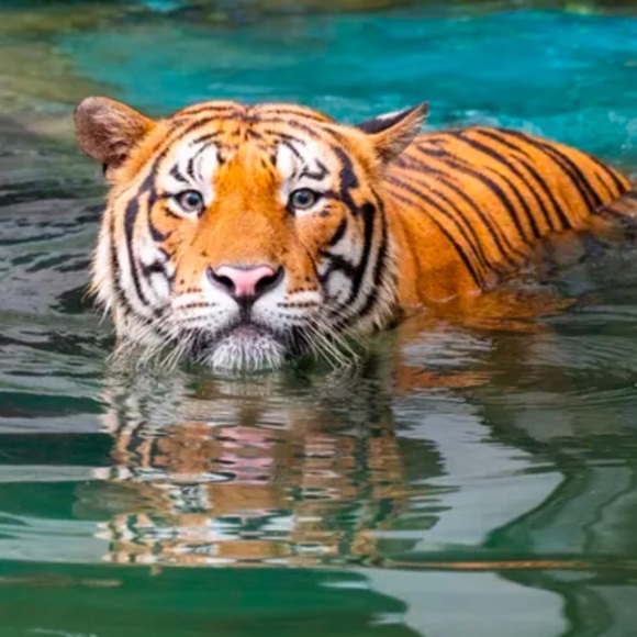 SCAN THIS CODE 4 $10 OFF YOUR FIRST PURCHASE! - Picture 10 of 12